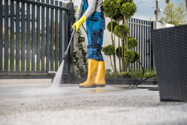 Best Roof Washing  in Jesup, GA