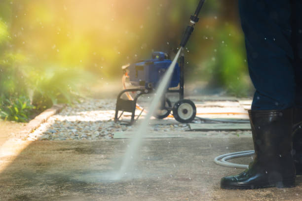 Best Driveway Pressure Washing  in Jesup, GA